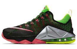 Мужские баскетбольные кроссовки Nike Lebron 12 724558-003