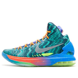 Кроссовки kd 5 премиум Nike, мульитколор 598601-400 | multi-color