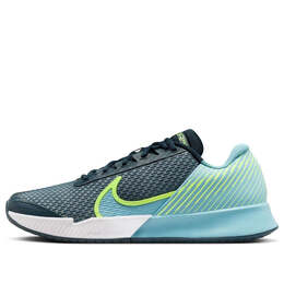 Кроссовки court air zoom vapor pro 2 hc Nike, синий dr6191-400 | blue