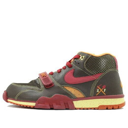 Кроссовки air trainer 1 sb Nike, коричневый 306193-261 | brown