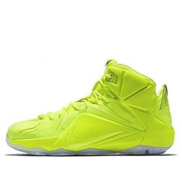 Кроссовки lebron 12 ext Nike, белый 748861-700 | white/black