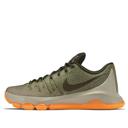 Кроссовки кд 8 Nike, серый 749375-033 | gray/green/