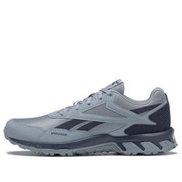 Кроссовки ridgerider 5.0 Reebok, серый fw5275 | grey