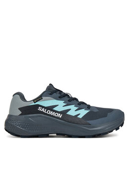 Кроссовки для бега Alphaglide Gore-Tex L47802500 Salomon, серый 0000304713972 | grau