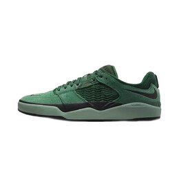 Скейтерские кеды Nike SB Ishod Wair, зелёный dc7232 301 | green