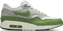 Лимитированные кроссовки Nike Patta x Air Max 1 Premium 'Chlorophyll', зеленый 366379100 | green