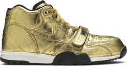 Кроссовки Nike Air Trainer 1 PRM QS 'Superbowl', золотой 840169700 | gold