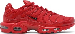 Кроссовки Nike Air Max Plus, красный dd9609 600 | red
