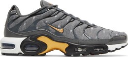 Кроссовки Nike Air Max Plus SE 'Iron Grey Metallic Gold', серый dm7570 002 | grey