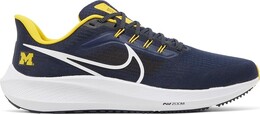 Кроссовки Nike Air Zoom Pegasus 39 'Michigan', синий dr1964 400 | blue