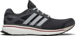 Кроссовки Adidas Energy Boost 'Run Thru Time', серый s81135 | grey