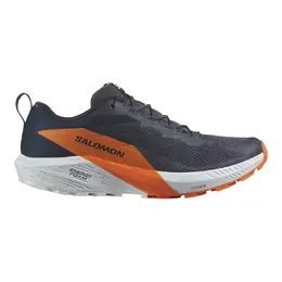 Мужские кроссовки для трейлраннинга Sense Ride 5 Gore-Tex Salomon, синий a50245284 | azul