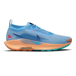 Nike Pegasus Trail 5 GORE-TEX мужская кроссовки Nike, синий a52031974 | azul