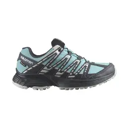 Женские кроссовки для трейлраннинга XT Reckon GTX W Salomon, синий a46764913 | azul