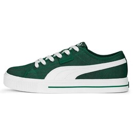 Кеды Puma Ever CV FS, темно-зеленый 386393 04 | dark green