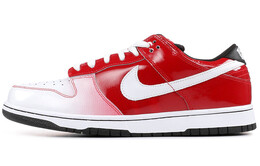 Мужские кроссовки для скейтбординга Nike Dunk SB Low 313170-611