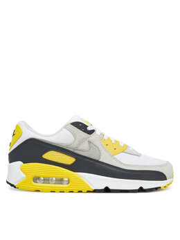 Кроссовки Air Max 90 DM0029 111 Nike, серый 0000305540690 | grau