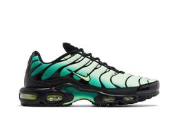 Nike Кроссовки Air Max Plus 'Vapor Green Gradient', зеленый dm0032 301 | vapor green gradient