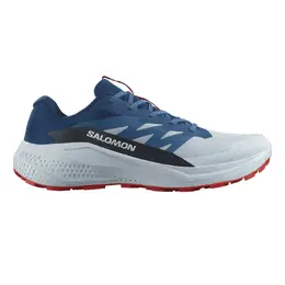 Мужские кроссовки для бега по пересеченной местности Salomon ALPHAGLIDE, синий a53599922 | azul
