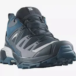 Кроссовки Salomon X Ultra 360 GTX, полнота F (EU)/ на среднюю стопу, размер UK 10.5; EUR 45 1/3; USA 11; 29 см (примерно на российский 44*), серебряный, серый, синий 4310676153