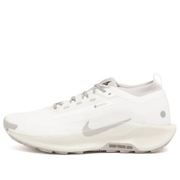Кроссовки Reactx Pegasus Trail 5 GTX SP Nike, мультиколор hq7494-100 | white, grey & bone