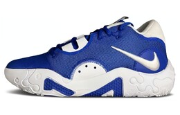 Баскетбольные кроссовки PG 6 унисекс с низким верхом синего цвета Nike dx6654-400 | blue