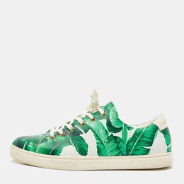 Dolce & Gabbana Green/White Leather Banana Leaf Print Low Top Sneakers Size 40 1166625