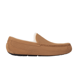 Ugg Кроссовки Ascot Slipper 'Chestnut', коричневый 1101110 che | chestnut