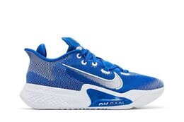 Nike Кроссовки Air Zoom BB NXT TB 'Game Royal', синий ck5879 401 | game royal