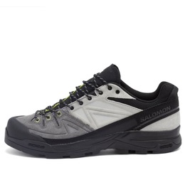 Кроссовки X-Alp ltr Salomon, мультиколор l47805800 | black, castlerock & dark citron