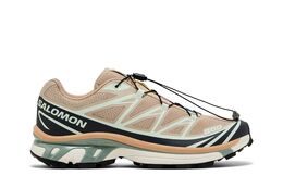 Salomon Кроссовки XT-6 'Oxford Tan', желто-коричневый l47737400 | oxford tan