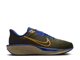 Кроссовки для трейлраннинга Quest 6 - мужские Nike, Dark Green 197601915861 | dark green