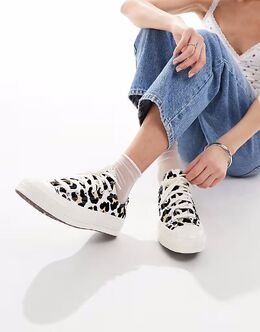 Кроссовки Converse Chuck 70 Ox с леопардовым принтом - МУЛЬТИ 139009176 | multi