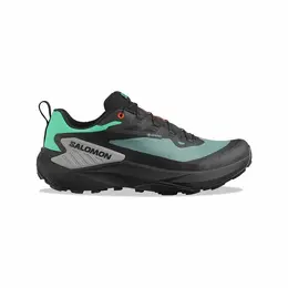 Кроссовки Salomon Genesis GTX 2025 (North Atlantic / Black / Sharkskin 7,5), размер US: 7.5, черный, бирюзовый 4338265734
