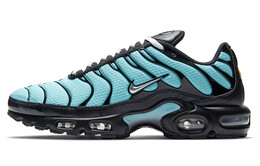 Кроссовки Nike Air Max Plus Aqua Blue cv8838-400