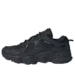 Кроссовки Adidas Cadiant FYW Gore-Tex 'Core Black Cloud White', черный ig4515 | black