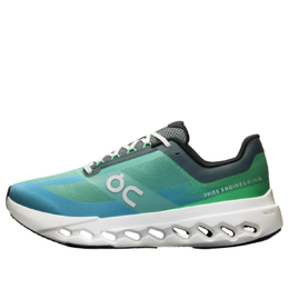 Кроссовки On Running Cloudsurfer Next 'Honeydew Ivory', зеленый 3me30023209 | green