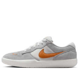 Кроссовки Nike SB Force 58 'Platinum Tint Wolf Grey Summit White Monarch', серый dv5477-007 | grey