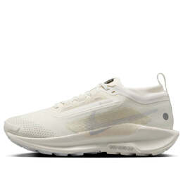 Кроссовки (WMNS) Nike Pegasus Trail 5 Gore-Tex 'Sail Photon Dust', белый fq0912-102 | white