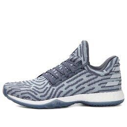 Кроссовки Adidas Harden Volume 1 LS Primeknit 'Raw Steel', серый ac8408 | grey