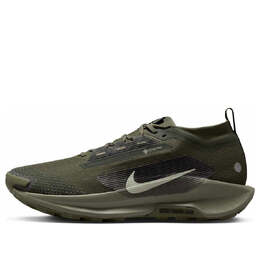 Кроссовки Nike Pegasus Trail 5 Gore-Tex 'Sequoia Cargo Khaki', оливкого-зеленый hq7494-300 | olive green