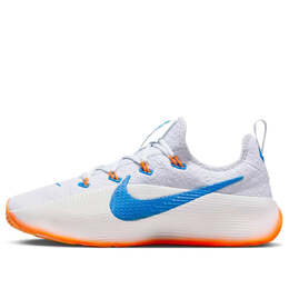 Кроссовки Nike LeBron TR 1 'Pure Platinum Photo Blue Orange', серый fj6151-005 | grey