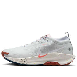 Кроссовки Nike Pegasus Trail 5 Gore-Tex 'Pure Platinum Pink Foam', бежевый fq0908-009 | beige