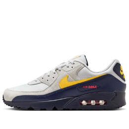 Кроссовки Nike Air Max 90 'Neutral Grey Tour Yellow', серый if0670-001 | grey