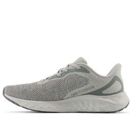 Кроссовки New Balance Fresh Foam Arishi v4 2E Wide 'Raincloud Shadow Grey Grey Matter', серый marisac4 | grey