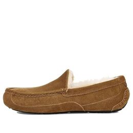 Спортивные кроссовки Ugg Ascot Slipper One Pedal Athleisure Casual Sports Shoes Fleece Lined 1101110-che | to be confirmed