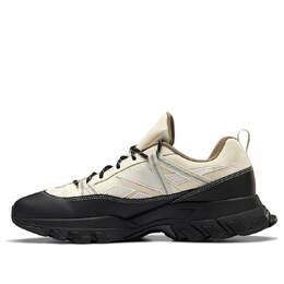 Беговые кроссовки Reebok DMX Trail Shadow 'White Black', черный g57924 | black