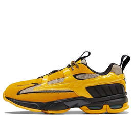 Беговые кроссовки Reebok Dmx6 Mmxx Yellow, желтый fv2334 | yellow
