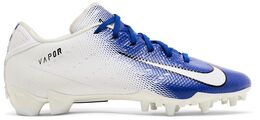 Кроссовки Nike Vapor Untouchable Speed 3 TD Pro 'Old Royal', синий ao3034 103 | blue