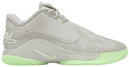 Кроссовки Nike LeBron 22 EP 'Dunkman', серый fz1095 002 | grey
